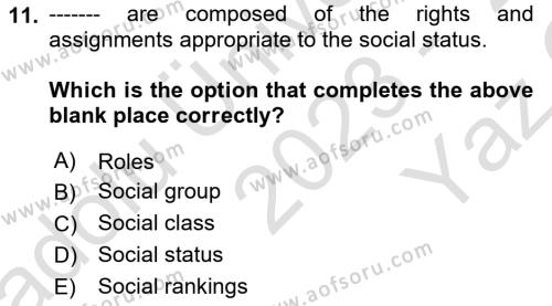 Introduction to Sociology Dersi 2023 - 2024 Yılı Yaz Okulu Sınavı 11. Soru