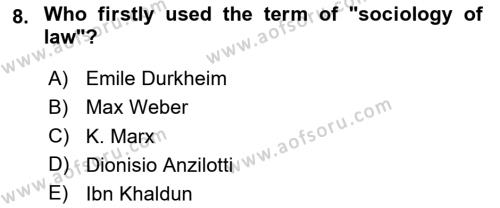 Introduction to Sociology Dersi 2023 - 2024 Yılı Yaz Okulu Sınavı 8. Soru