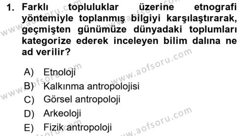 Antropoloji Dersi 2021 - 2022 Yılı Yaz Okulu Sınavı 1. Soru