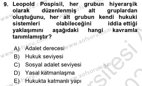 Antropoloji Dersi 2022 - 2023 Yılı Yaz Okulu Sınavı 9. Soru