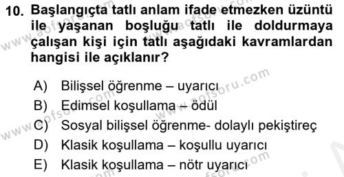 Davranış Bilimlerine Giriş Dersi 2018 - 2019 Yılı (Final) Dönem Sonu Sınavı 10. Soru