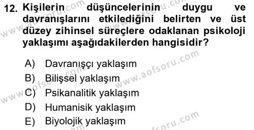 Davranış Bilimlerine Giriş Dersi 2018 - 2019 Yılı (Final) Dönem Sonu Sınavı 12. Soru