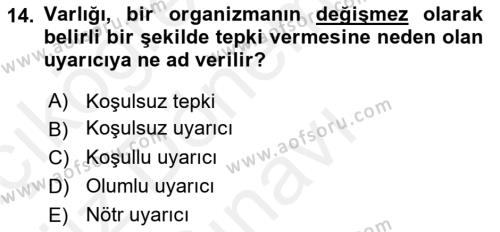 Davranış Bilimlerine Giriş Dersi 2018 - 2019 Yılı (Final) Dönem Sonu Sınavı 14. Soru