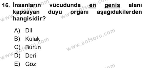 Davranış Bilimlerine Giriş Dersi 2018 - 2019 Yılı (Final) Dönem Sonu Sınavı 16. Soru