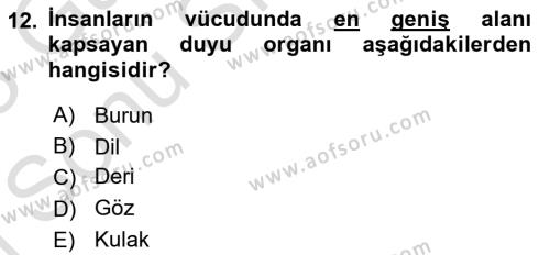 Davranış Bilimlerine Giriş Dersi 2022 - 2023 Yılı (Final) Dönem Sonu Sınavı 12. Soru