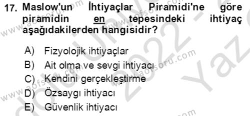 Davranış Bilimlerine Giriş Dersi 2022 - 2023 Yılı Yaz Okulu Sınavı 17. Soru