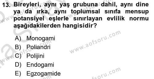 Davranış Bilimlerine Giriş Dersi 2024 - 2025 Yılı (Vize) Ara Sınavı 13. Soru