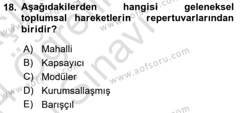 Siyaset Sosyolojisi Dersi 2023 - 2024 Yılı Yaz Okulu Sınavı 18. Soru