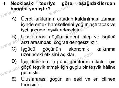 Göç Sosyolojisi Dersi 2021 - 2022 Yılı Yaz Okulu Sınavı 1. Soru