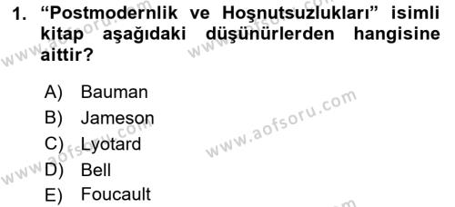 Çağdaş Sosyoloji Kuramları Dersi 2023 - 2024 Yılı (Final) Dönem Sonu Sınavı 1. Soru