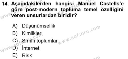 Sosyolojide Yakın Dönem Gelişmeler Dersi 2020 - 2021 Yılı Yaz Okulu Sınavı 14. Soru