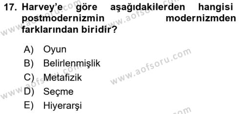 Sosyolojide Yakın Dönem Gelişmeler Dersi 2020 - 2021 Yılı Yaz Okulu Sınavı 17. Soru