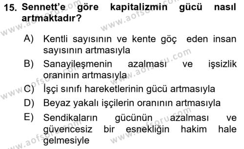 Sosyolojide Yakın Dönem Gelişmeler Dersi 2021 - 2022 Yılı Yaz Okulu Sınavı 15. Soru