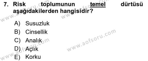 Sosyolojide Yakın Dönem Gelişmeler Dersi 2021 - 2022 Yılı Yaz Okulu Sınavı 7. Soru