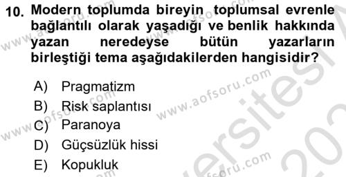 Sosyolojide Yakın Dönem Gelişmeler Dersi 2022 - 2023 Yılı Yaz Okulu Sınavı 10. Soru