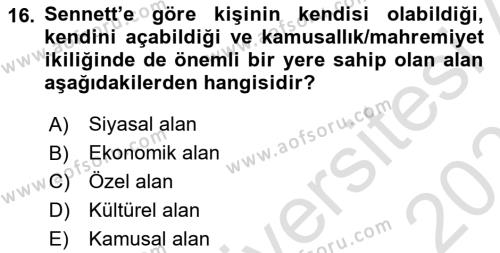 Sosyolojide Yakın Dönem Gelişmeler Dersi 2022 - 2023 Yılı Yaz Okulu Sınavı 16. Soru