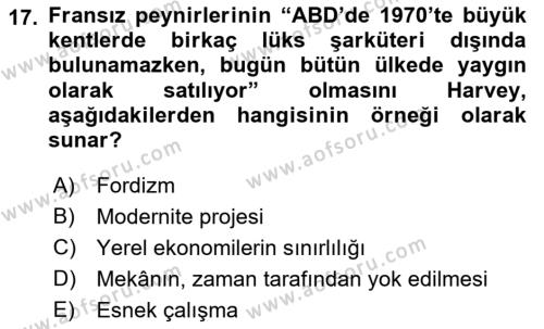 Sosyolojide Yakın Dönem Gelişmeler Dersi 2022 - 2023 Yılı Yaz Okulu Sınavı 17. Soru