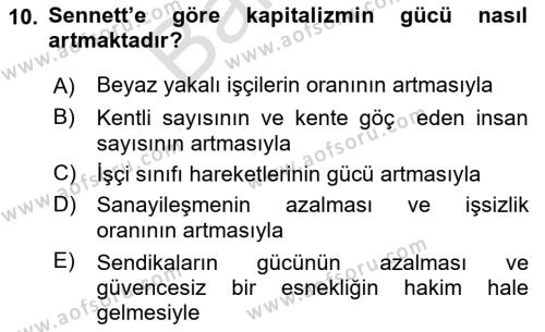 Sosyolojide Yakın Dönem Gelişmeler Dersi 2023 - 2024 Yılı (Final) Dönem Sonu Sınavı 10. Soru