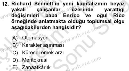 Sosyolojide Yakın Dönem Gelişmeler Dersi 2023 - 2024 Yılı (Final) Dönem Sonu Sınavı 12. Soru