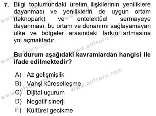 Ekonomi Sosyolojisi Dersi 2021 - 2022 Yılı Yaz Okulu Sınavı 7. Soru