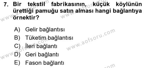 Ekonomi Sosyolojisi Dersi 2022 - 2023 Yılı (Final) Dönem Sonu Sınavı 7. Soru