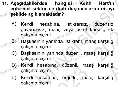 Ekonomi Sosyolojisi Dersi 2023 - 2024 Yılı (Vize) Ara Sınavı 11. Soru