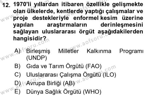 Ekonomi Sosyolojisi Dersi 2023 - 2024 Yılı (Vize) Ara Sınavı 12. Soru