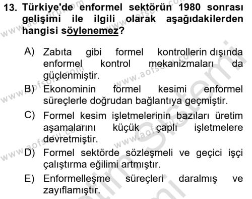 Ekonomi Sosyolojisi Dersi 2023 - 2024 Yılı (Vize) Ara Sınavı 13. Soru