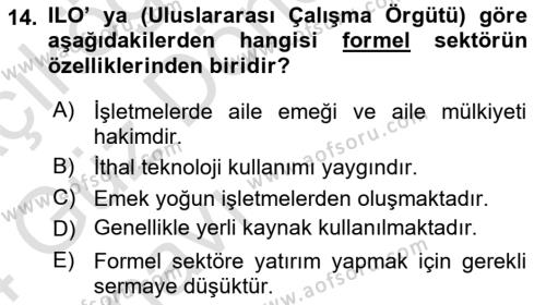 Ekonomi Sosyolojisi Dersi 2023 - 2024 Yılı (Vize) Ara Sınavı 14. Soru