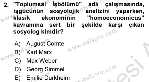 Ekonomi Sosyolojisi Dersi 2023 - 2024 Yılı (Vize) Ara Sınavı 2. Soru