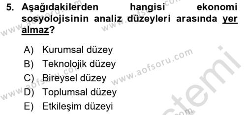 Ekonomi Sosyolojisi Dersi 2023 - 2024 Yılı Yaz Okulu Sınavı 5. Soru
