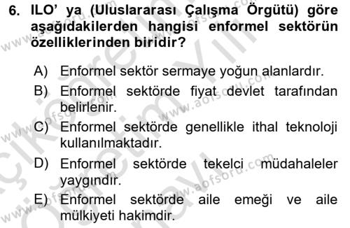 Ekonomi Sosyolojisi Dersi 2023 - 2024 Yılı Yaz Okulu Sınavı 6. Soru