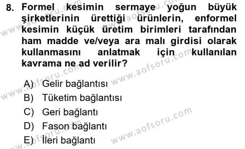 Ekonomi Sosyolojisi Dersi 2023 - 2024 Yılı Yaz Okulu Sınavı 8. Soru