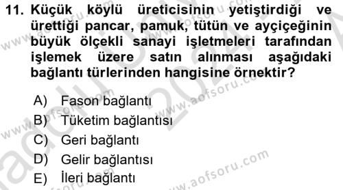 Ekonomi Sosyolojisi Dersi 2024 - 2025 Yılı (Vize) Ara Sınavı 11. Soru