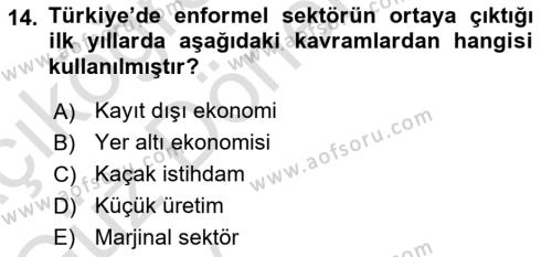 Ekonomi Sosyolojisi Dersi 2024 - 2025 Yılı (Vize) Ara Sınavı 14. Soru