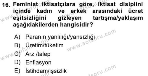 Ekonomi Sosyolojisi Dersi 2024 - 2025 Yılı (Vize) Ara Sınavı 16. Soru