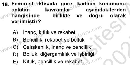 Ekonomi Sosyolojisi Dersi 2024 - 2025 Yılı (Vize) Ara Sınavı 18. Soru