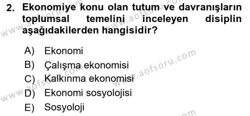 Ekonomi Sosyolojisi Dersi 2024 - 2025 Yılı (Vize) Ara Sınavı 2. Soru