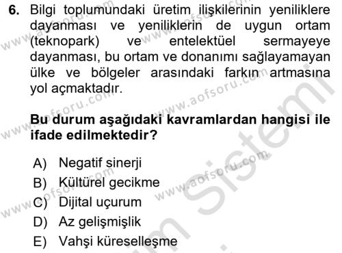 Ekonomi Sosyolojisi Dersi 2024 - 2025 Yılı (Vize) Ara Sınavı 6. Soru