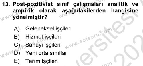 Toplumsal Tabakalaşma ve Eşitsizlik Dersi 2021 - 2022 Yılı (Vize) Ara Sınavı 13. Soru