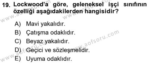 Toplumsal Tabakalaşma ve Eşitsizlik Dersi 2021 - 2022 Yılı (Vize) Ara Sınavı 19. Soru