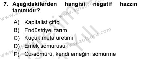 Toplumsal Tabakalaşma ve Eşitsizlik Dersi 2021 - 2022 Yılı Yaz Okulu Sınavı 7. Soru