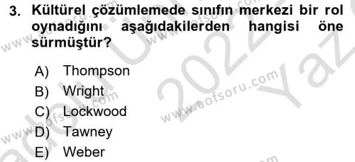 Toplumsal Tabakalaşma ve Eşitsizlik Dersi 2022 - 2023 Yılı Yaz Okulu Sınavı 3. Soru