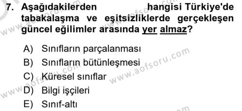 Toplumsal Tabakalaşma ve Eşitsizlik Dersi 2022 - 2023 Yılı Yaz Okulu Sınavı 7. Soru