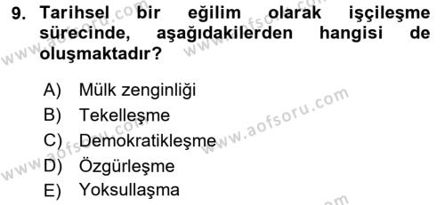 Toplumsal Tabakalaşma ve Eşitsizlik Dersi 2022 - 2023 Yılı Yaz Okulu Sınavı 9. Soru