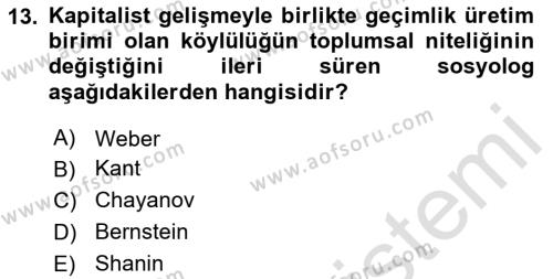 Toplumsal Tabakalaşma ve Eşitsizlik Dersi 2023 - 2024 Yılı (Vize) Ara Sınavı 13. Soru