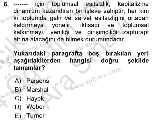 Toplumsal Tabakalaşma ve Eşitsizlik Dersi 2023 - 2024 Yılı (Vize) Ara Sınavı 6. Soru