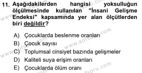 Toplumsal Tabakalaşma ve Eşitsizlik Dersi 2023 - 2024 Yılı (Final) Dönem Sonu Sınavı 11. Soru