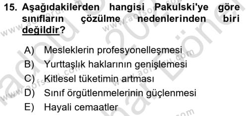 Toplumsal Tabakalaşma ve Eşitsizlik Dersi 2023 - 2024 Yılı (Final) Dönem Sonu Sınavı 15. Soru