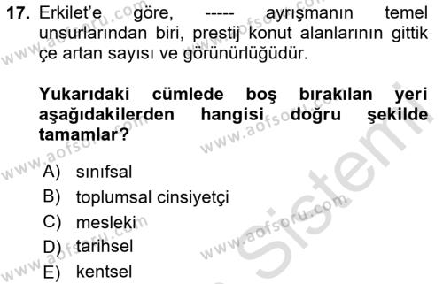 Toplumsal Tabakalaşma ve Eşitsizlik Dersi 2023 - 2024 Yılı (Final) Dönem Sonu Sınavı 17. Soru